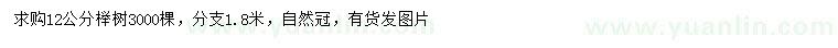 求購12公分櫸樹