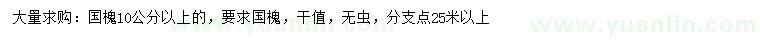求購10公分以上國槐