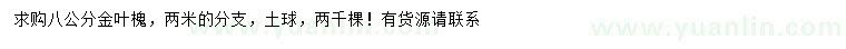 求購(gòu)8公分金葉槐