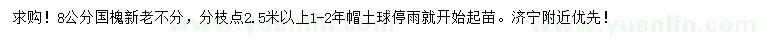 求購(gòu)8公分國(guó)槐
