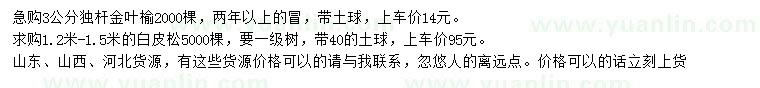 求購3公分金葉榆、1.2-1.5米白皮松