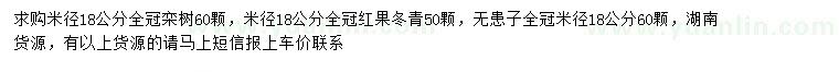 求購欒樹、紅果冬青、無患子