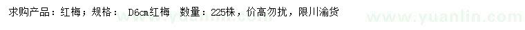 求購地徑6公分紅梅