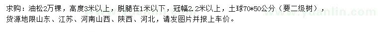 求購高度3米以上油松