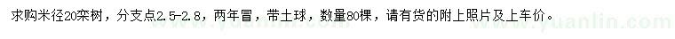 求購(gòu)直徑20公分欒樹