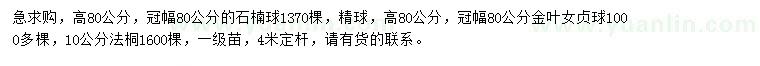 求購石楠球、金葉女貞球、法桐