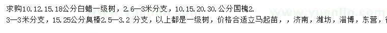 求購白蠟、國槐、臭椿