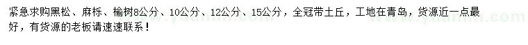 求購(gòu)黑松、麻櫟、榆樹(shù)