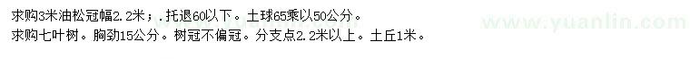 求購3米油松、胸徑15公分七葉樹