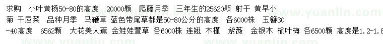 求購(gòu)小葉黃楊、爬藤月季、金娃娃萱草等