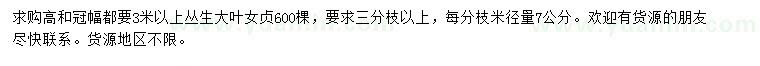 求購高3米以上叢生大葉女貞