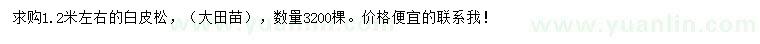 求購1.2米白皮松
