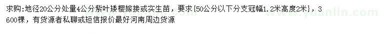 求購(gòu)20公分量4公分紫葉矮櫻