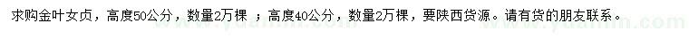 求購高40、50公分金葉女貞