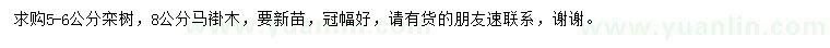 求購(gòu)5-6公分欒樹(shù)、8公分馬褂木