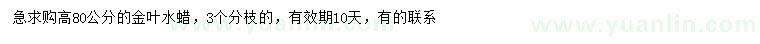 求購高80公分金葉水蠟