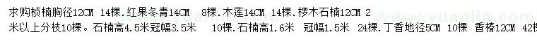 求購楨楠、紅果冬青、欏木石楠等