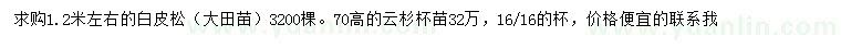 求購1.2米白皮松、高70公分云杉