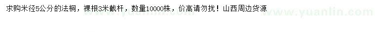 求購米徑5公分法桐