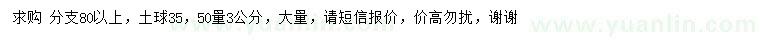 求購50量3公分桂花