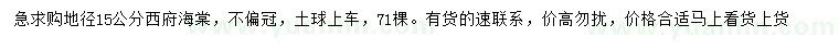 求購地徑15公分西府海棠