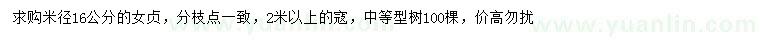 求購米徑16公分女貞