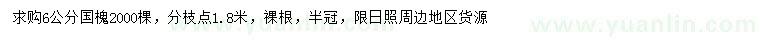 求購6公分國槐