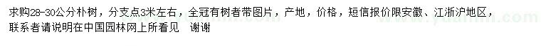 求購28-30公分樸樹