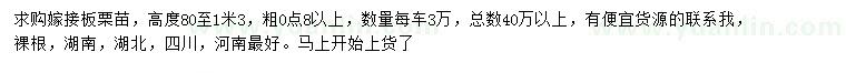 求購高80-130公分嫁接板栗苗