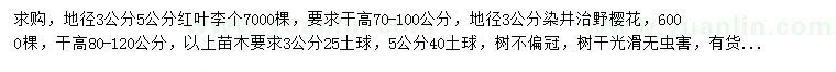 求購地徑3、5公分紅葉李、染井治野櫻花