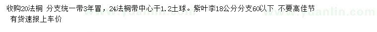 求購20、24公分法桐、18公分紫葉李