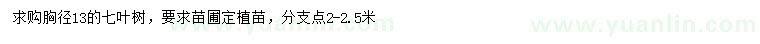 求購胸徑13公分七葉樹