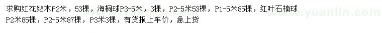 求購紅花繼木、海桐球、紅葉石楠球