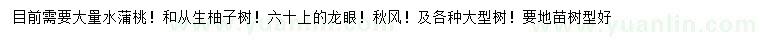 求購水蒲桃、從生柚子樹、龍眼等