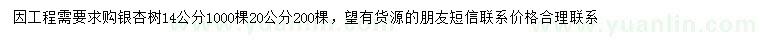 求購14、20公分銀杏樹