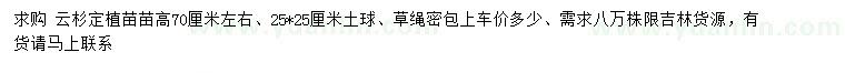 求購高70公分云杉