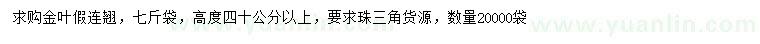求購高40公分以上金葉假連翹