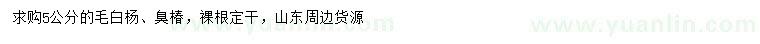 求購5公分毛白楊、臭椿