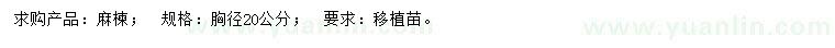 求購(gòu)胸徑20公分麻楝