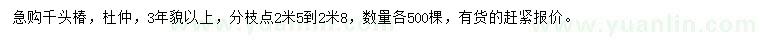 求購(gòu)千頭椿、杜仲