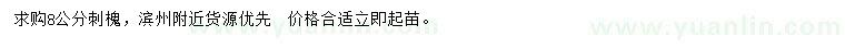 求購8公分刺槐