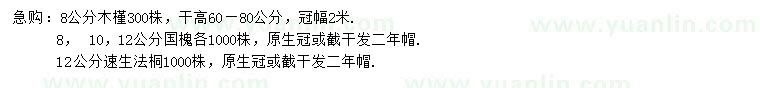 求購(gòu)木槿、國(guó)槐、速生法桐