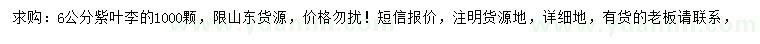 求購6公分紫葉李