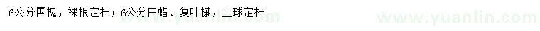 求購白蠟、國槐、復(fù)葉槭