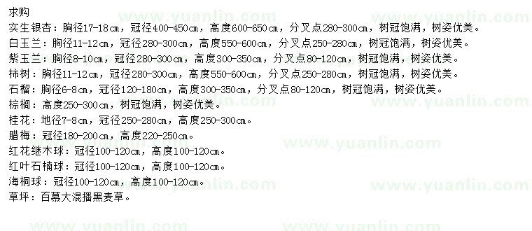 求購(gòu)銀杏、白玉蘭、紫玉蘭等