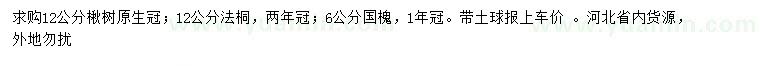 求購楸樹、法桐、國槐