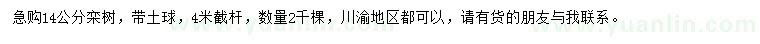 求購14公分欒樹