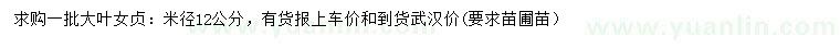 求購米徑12公分大葉女貞
