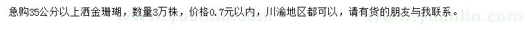 求購35公分以上灑金珊瑚