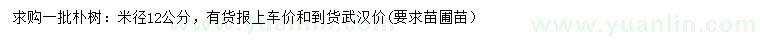 求購(gòu)米徑12公分樸樹